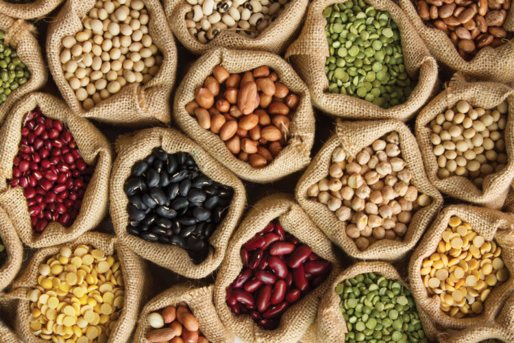 How to Grow Beans at Home